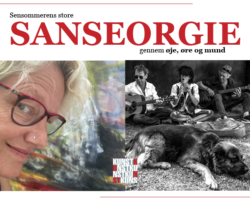 Skærmbillede 2023-08-30 kl. 11.31.48