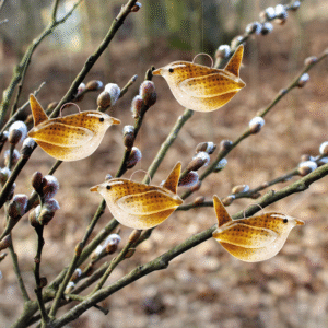Gærdesmutte Pilekrat